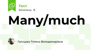 Many/much
