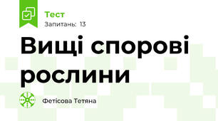 Вищі спорові рослини