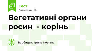 Вегетативні органи росин  - корінь