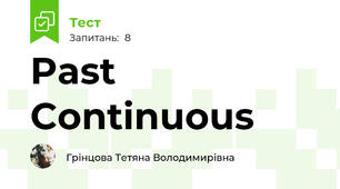 Past Continuous 
