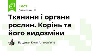 Тканини і органи рослин. Корінь та його видозміни