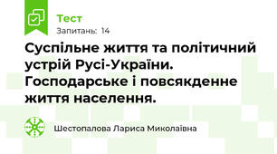 Суспільне життя та політичний устрій Русі-України. Господарське і повсякденне життя населення.