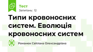 Типи кровоносних систем. Еволюція кровоносних систем