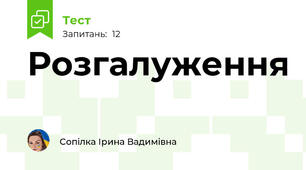 Розгалуження