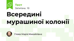 Всередині мурашиної колонії