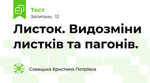 Листок. Видозміни листків та пагонів.