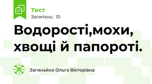  Водорості,мохи, хвощі й папороті.