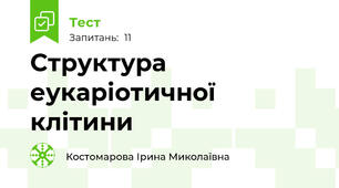 Структура еукаріотичної клітини