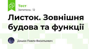 Листок. Зовнішня будова та функції 