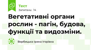 Вегетативні органи рослин - пагін, будова, функції та видозміни.