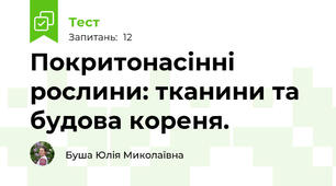 Покритонасінні рослини: тканини та будова кореня.