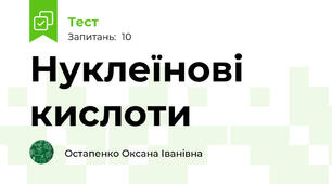 Нуклеїнові кислоти