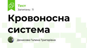 Кровоносна система
