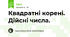 Квадратні корені. Дійсні числа.