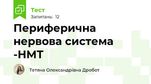 Периферична нервова система -НМТ