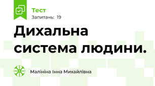 Дихальна система людини.