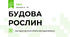 БУДОВА РОСЛИН