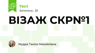 ВІЗАЖ СКР№1