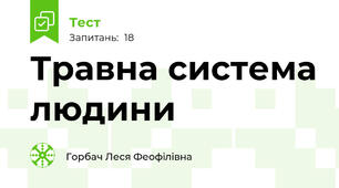 Травна система людини