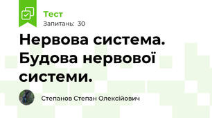 Нервова система. Будова нервової системи.