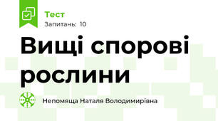 Вищі спорові рослини
