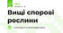 Вищі спорові рослини