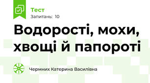Водорості, мохи, хвощі й папороті