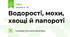 Водорості, мохи, хвощі й папороті