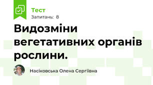 Видозміни вегетативних органів рослини.