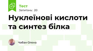 Нуклеїнові кислоти та синтез білка