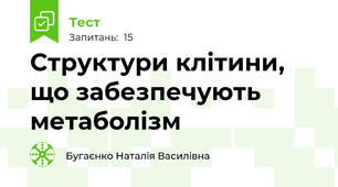 Структури клітини, що забезпечують метаболізм