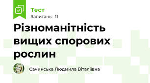 Різноманітність вищих спорових рослин