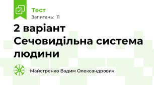 2 варіант Сечовидільна система людини