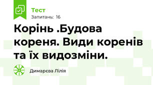 Корінь .Будова кореня. Види коренів та їх видозміни.