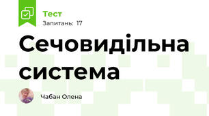  Сечовидільна система