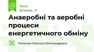 Анаеробні та аеробні процеси енергетичного обміну