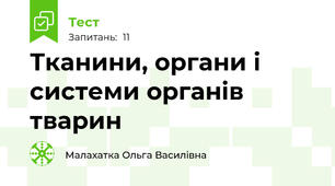 Тканини, органи і системи органів тварин