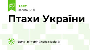 Птахи України