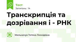 Транскрипція та дозрівання і - РНК