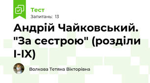 Андрій Чайковський. "За сестрою" (розділи I-IX)
