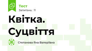 Квітка. Суцвіття