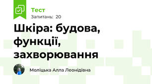 Шкіра: будова, функції, захворювання
