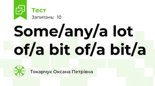 Some/any/a lot of/a bit of/a bit/a
