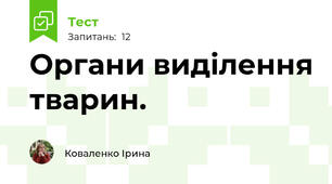 Органи виділення тварин.
