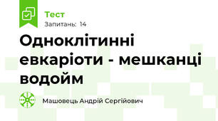 Одноклітинні евкаріоти - мешканці водойм