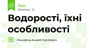 Водорості, їхні особливості