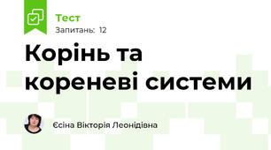 Корінь та кореневі системи