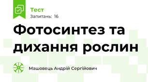 Фотосинтез та дихання рослин