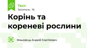 Корінь та кореневі рослини