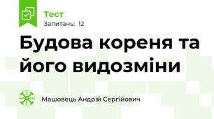 Будова кореня та його видозміни